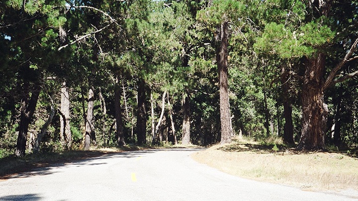 Jacks Peak Park filming location in Monterey County